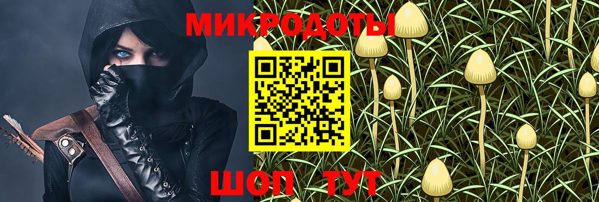 Галлюциногенные грибы прущие грибы  Вход с VPN  Галлюциногенные грибы Psilocybine cubensis  Кисловодск 